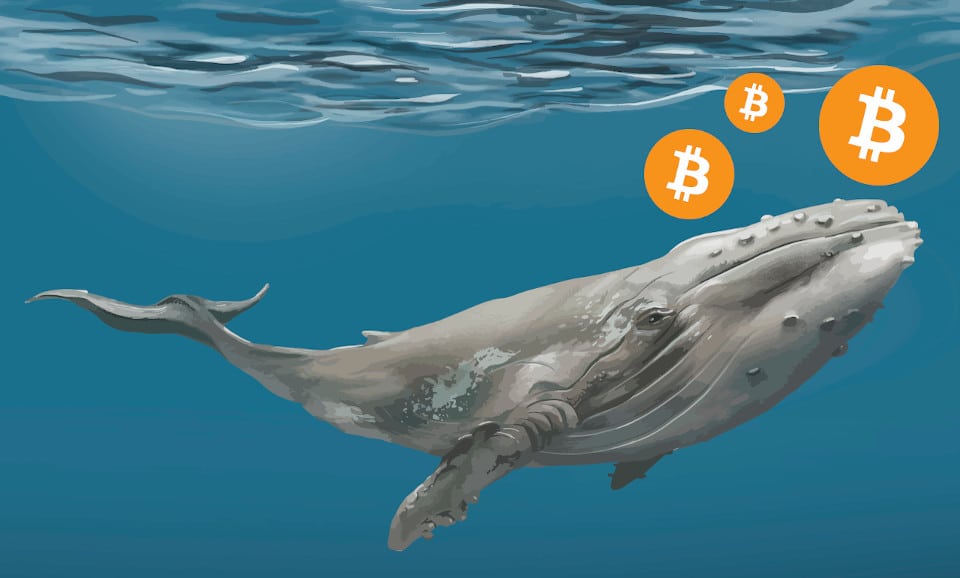 Bitcoin balinaları
