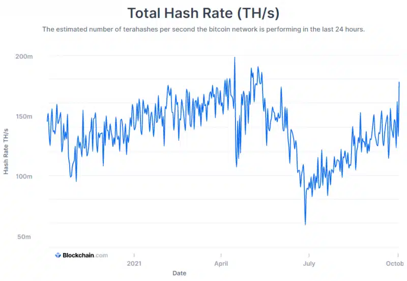 bitcoin hash oranı