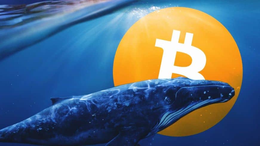 Bitcoin balinaları