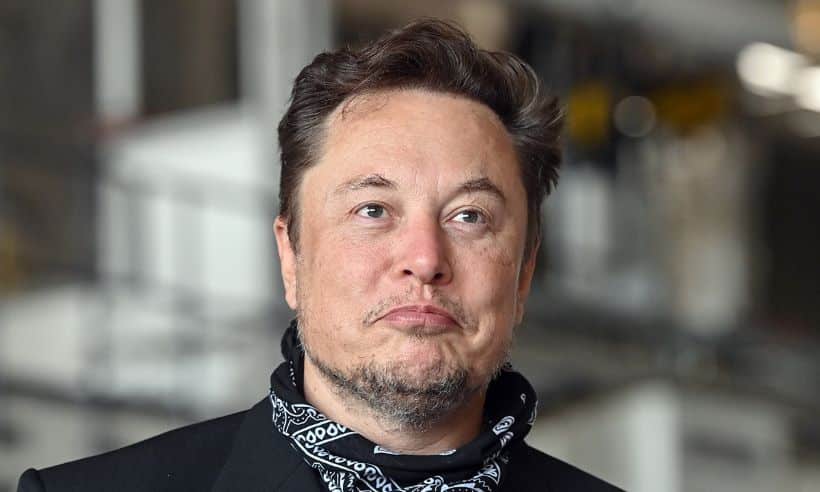 Elon Musk, Influecer