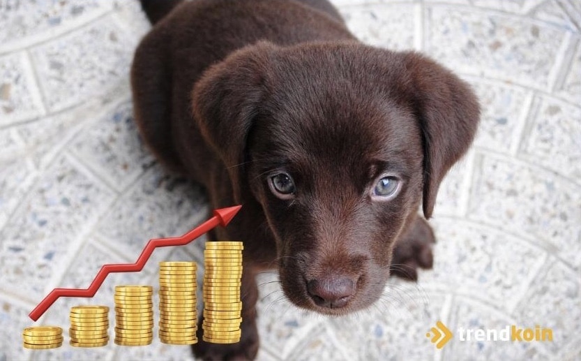 Dogecoin, baby doge coin