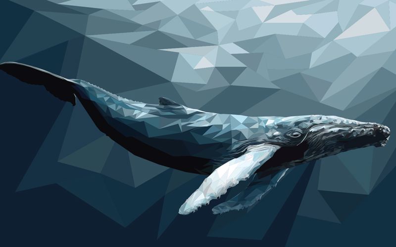 Ethereum balinaları önemli bir rakip altcoin'i biriktirirken bu meme coin'i satmaya başladı!