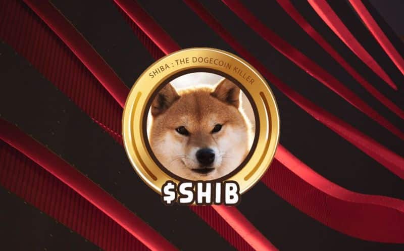 Tahminleri tutan kripto topluluğu Mayıs sonu için SHIB fiyatını belirledi! 