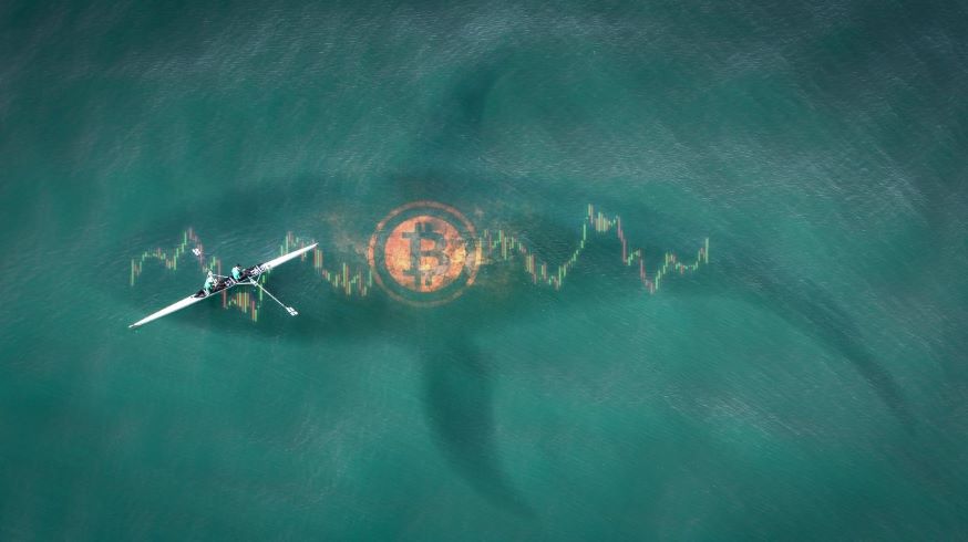 tam 1 800 btc bitcoin balinasi dibi mi satin aliyor