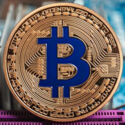CryptoQuant CEO’suna göre Bitcoin pazarının hakimiyeti bu yatırımcılara kaydı!