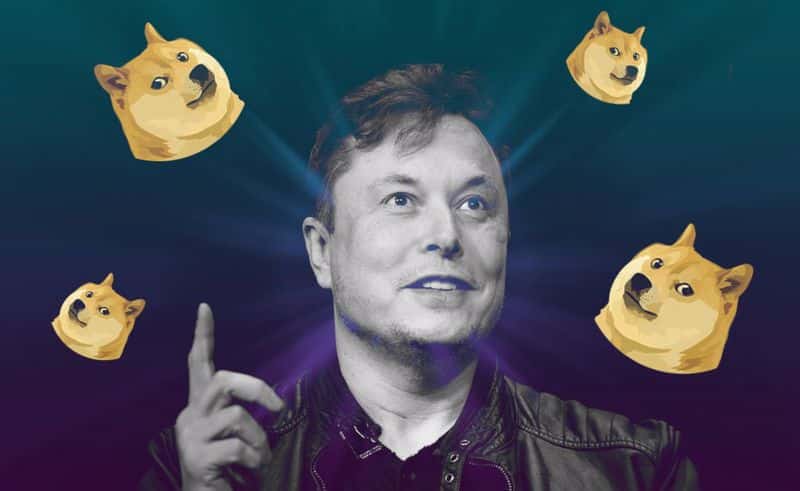 Elon Musk'ın başı sonunda Dogecoin'den yandı: Şok ponzi iddiası