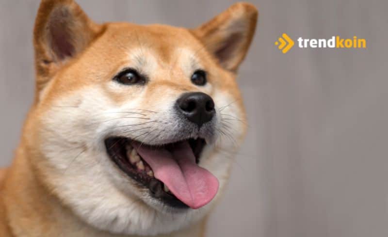 Dogecoin den sabah koşusu DOGE fiyatı birden yüzde 10 Arttı