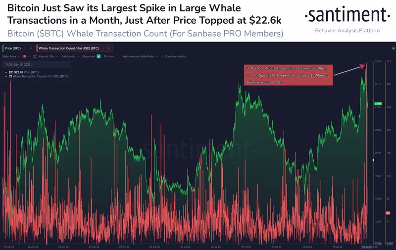 Bitcoin balinasının hızlı satışı trend değişikliği habercisi mi