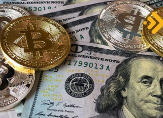 FED kripto paraları kullanarak ABD dolarını güçlendirmeyi mi planlıyor?