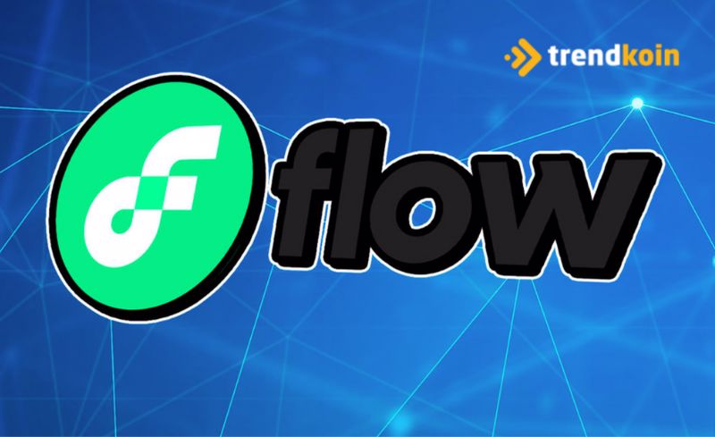 FLOW token Instagram'ın desteğiyle yüzde 50 arttı