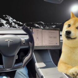 Elon Musk Dogecoin için Desteğini Teyit Etti, DOGE Fiyatı Yükseldi