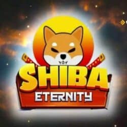 Shiba Inu Oyunu Shiba Eternity'den Üzücü Haber Geldi