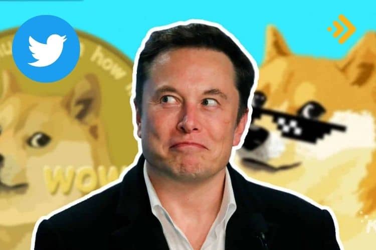 Yöneticiler Çıkarıldı Bile! Elon Musk'ın Twitter Planları Kripto Dünyasını Değiştirebilir 