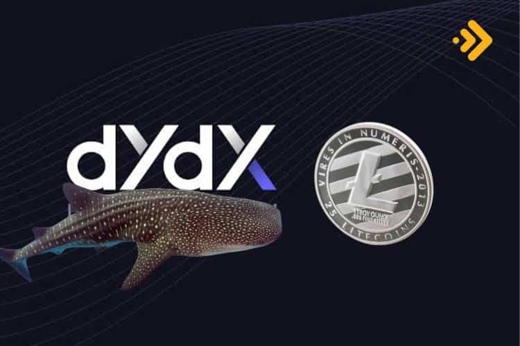 Litecoin ve dYdX de büyük balina işlemleri Altcoinler yatırımcıların radarında