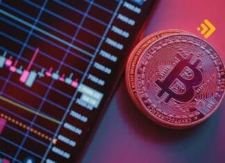 Çöküşü bilen trader Bitcoin'de sıçrama öngörüyor