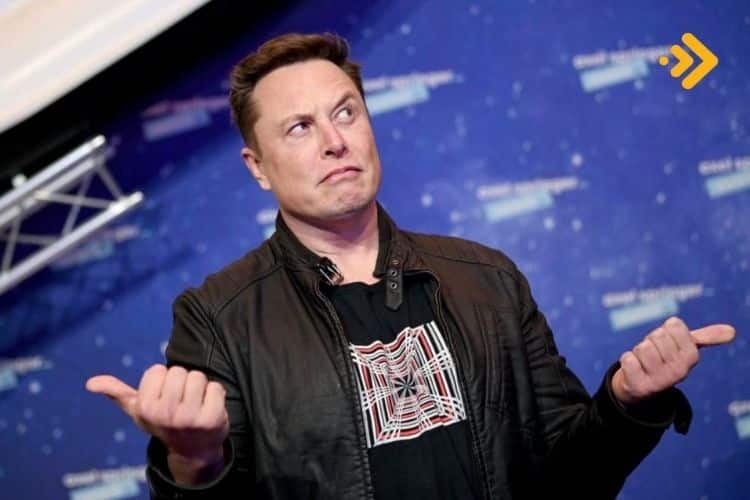 Elon Musk DOGE'dan ne kadar kazandı