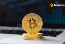 Ünlü analist Bitcoin yatırımcılarına tavsiyelerde bulundu